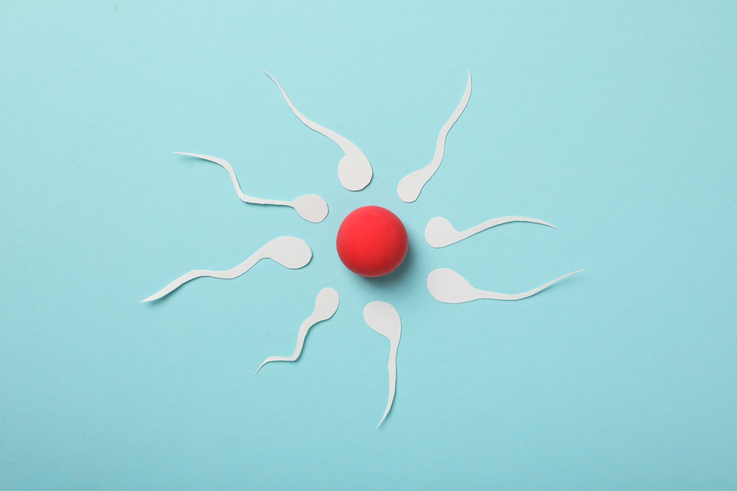 Egg Freezing